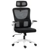 High Back Office Chair, Mesh Computer Desk Chair with Rotatable Headrest, Lumbar Back Support, Adjustable Height, Black