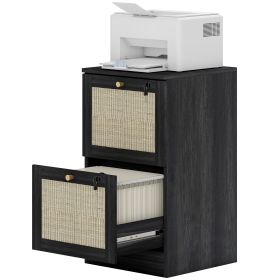 2 Drawer Filing Cabinet with Lock, Boho File Cabinet for A4 Letter Size Files with Decorative Rattan Accents, Black